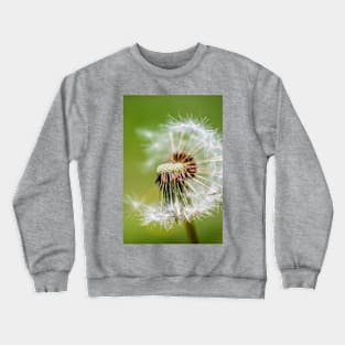 Dandelion Dispersal. Photograph Crewneck Sweatshirt